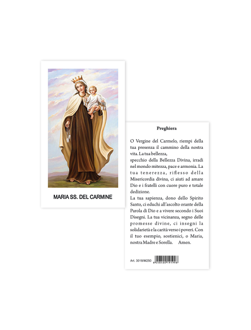 Immagine Madonna del Carmine 6x10,5 cm 100 Pezzi
