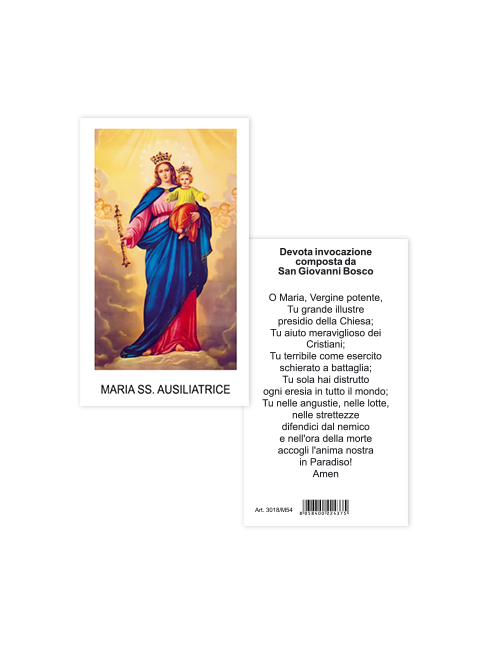Immagine Madonna Ausiliatrice 6x10,5 cm 100 Pezzi